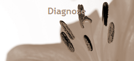 diagnose 120 sepia