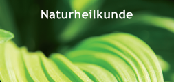 naturheilkunde 120